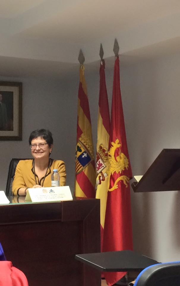 II Jornadas AENESMA, imagen 4